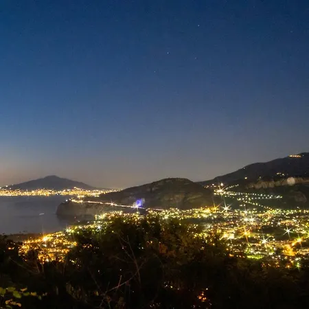 Monica Отель типа 