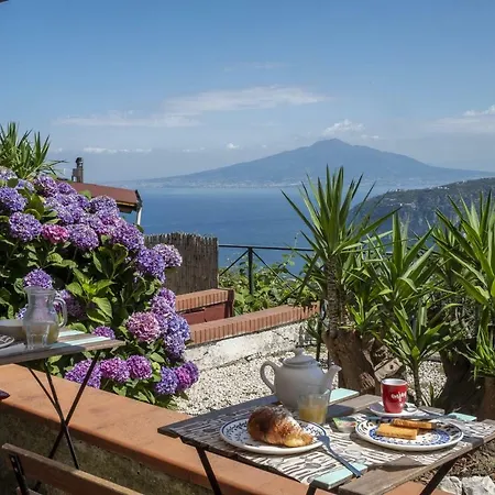 Monica 4* Σορέντο