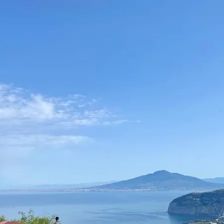 Monica 4*